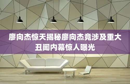 廖向杰惊天揭秘廖向杰竟涉及重大丑闻内幕惊人曝光