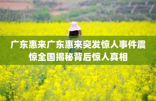 广东惠来广东惠来突发惊人事件震惊全国揭秘背后惊人真相