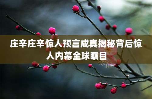 庄辛庄辛惊人预言成真揭秘背后惊人内幕全球瞩目
