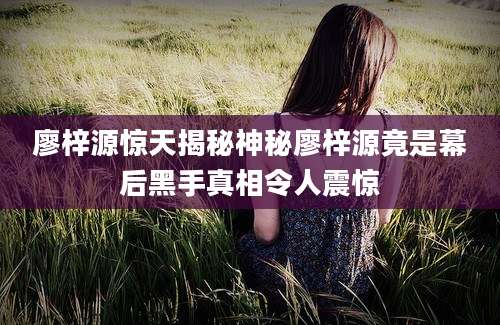 廖梓源惊天揭秘神秘廖梓源竟是幕后黑手真相令人震惊