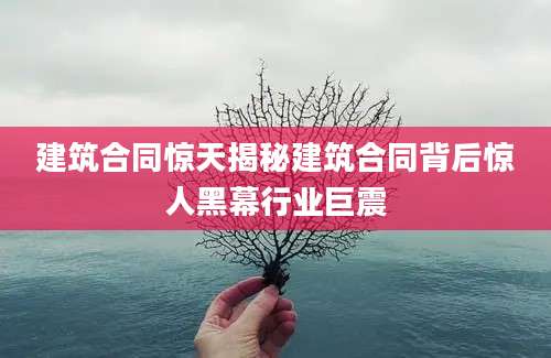 建筑合同惊天揭秘建筑合同背后惊人黑幕行业巨震