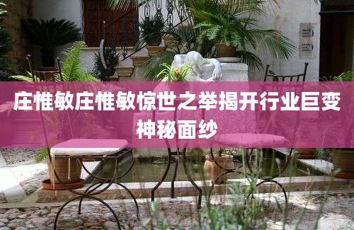 庄惟敏庄惟敏惊世之举揭开行业巨变神秘面纱