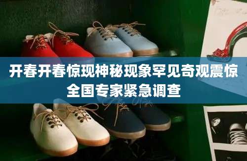 开春开春惊现神秘现象罕见奇观震惊全国专家紧急调查