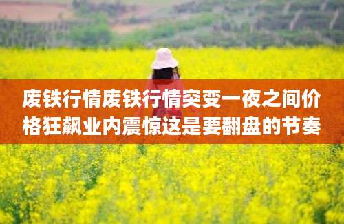 废铁行情废铁行情突变一夜之间价格狂飙业内震惊这是要翻盘的节奏
