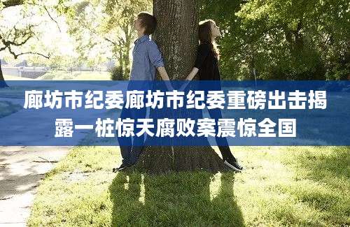 廊坊市纪委廊坊市纪委重磅出击揭露一桩惊天腐败案震惊全国