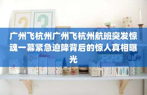 广州飞杭州广州飞杭州航班突发惊魂一幕紧急迫降背后的惊人真相曝光