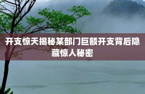 开支惊天揭秘某部门巨额开支背后隐藏惊人秘密