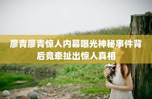 廖青廖青惊人内幕曝光神秘事件背后竟牵扯出惊人真相