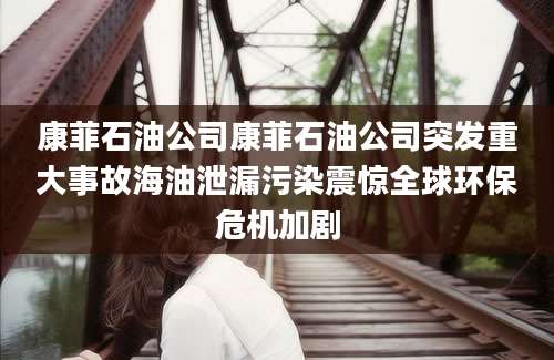 康菲石油公司康菲石油公司突发重大事故海油泄漏污染震惊全球环保危机加剧
