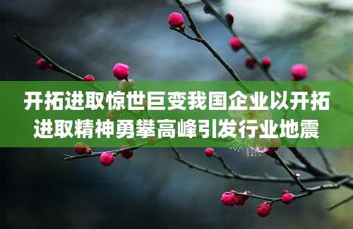 开拓进取惊世巨变我国企业以开拓进取精神勇攀高峰引发行业地震