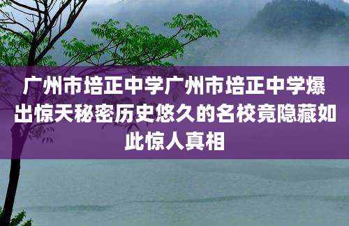 广州市培正中学广州市培正中学爆出惊天秘密历史悠久的名校竟隐藏如此惊人真相