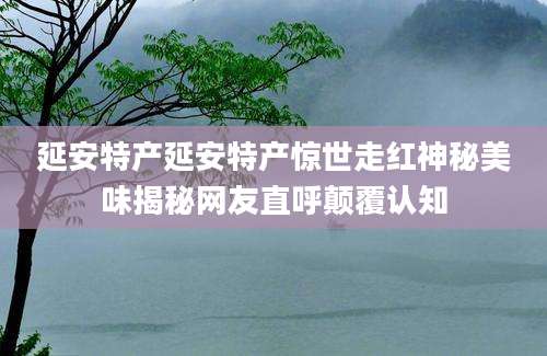 延安特产延安特产惊世走红神秘美味揭秘网友直呼颠覆认知