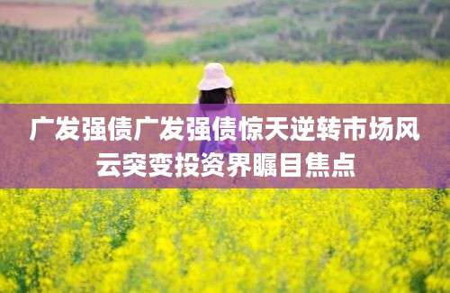 广发强债广发强债惊天逆转市场风云突变投资界瞩目焦点