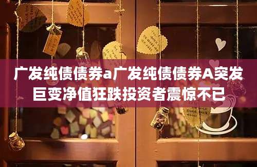 广发纯债债券a广发纯债债券A突发巨变净值狂跌投资者震惊不已