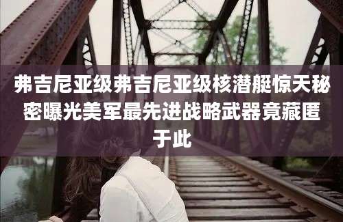 弗吉尼亚级弗吉尼亚级核潜艇惊天秘密曝光美军最先进战略武器竟藏匿于此