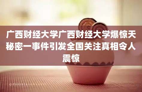 广西财经大学广西财经大学爆惊天秘密一事件引发全国关注真相令人震惊