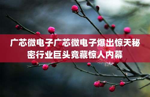 广芯微电子广芯微电子爆出惊天秘密行业巨头竟藏惊人内幕