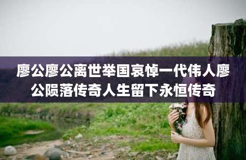 廖公廖公离世举国哀悼一代伟人廖公陨落传奇人生留下永恒传奇