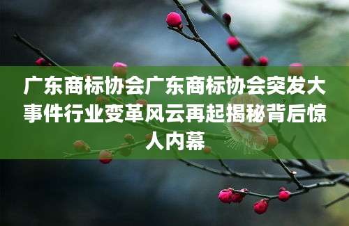 广东商标协会广东商标协会突发大事件行业变革风云再起揭秘背后惊人内幕