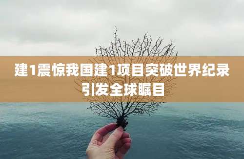 建1震惊我国建1项目突破世界纪录引发全球瞩目
