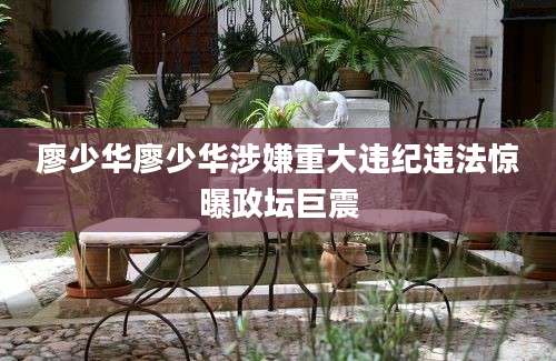 廖少华廖少华涉嫌重大违纪违法惊曝政坛巨震