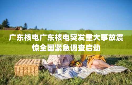 广东核电广东核电突发重大事故震惊全国紧急调查启动
