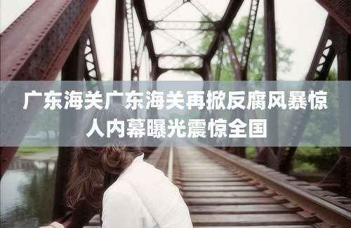 广东海关广东海关再掀反腐风暴惊人内幕曝光震惊全国