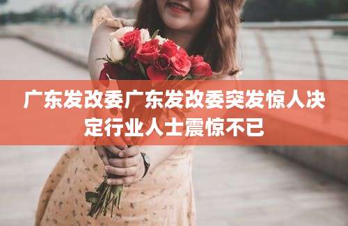 广东发改委广东发改委突发惊人决定行业人士震惊不已