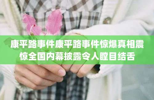 康平路事件康平路事件惊爆真相震惊全国内幕披露令人瞠目结舌