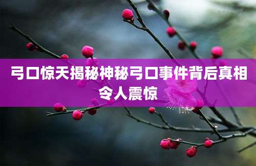 弓口惊天揭秘神秘弓口事件背后真相令人震惊