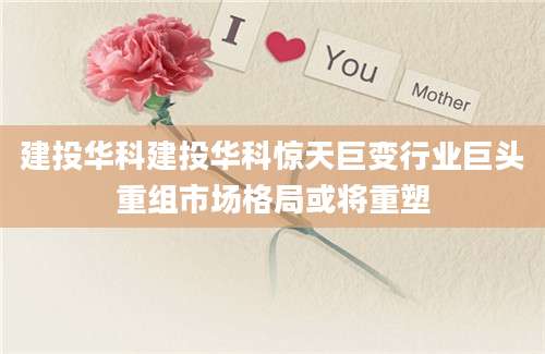 建投华科建投华科惊天巨变行业巨头重组市场格局或将重塑
