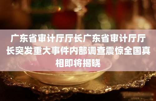 广东省审计厅厅长广东省审计厅厅长突发重大事件内部调查震惊全国真相即将揭晓