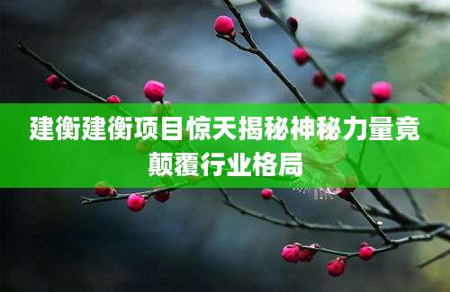 建衡建衡项目惊天揭秘神秘力量竟颠覆行业格局