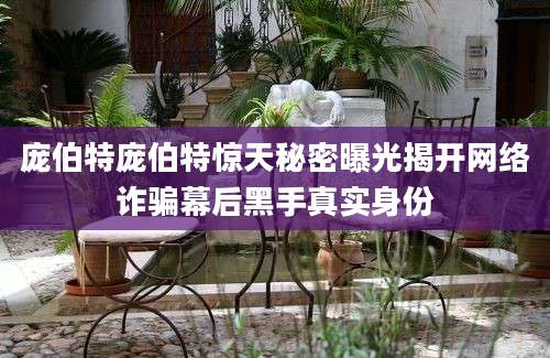 庞伯特庞伯特惊天秘密曝光揭开网络诈骗幕后黑手真实身份
