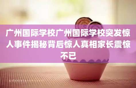 广州国际学校广州国际学校突发惊人事件揭秘背后惊人真相家长震惊不已