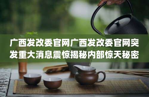 广西发改委官网广西发改委官网突发重大消息震惊揭秘内部惊天秘密