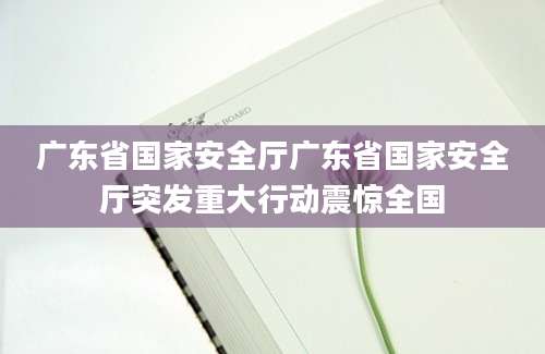 广东省国家安全厅广东省国家安全厅突发重大行动震惊全国