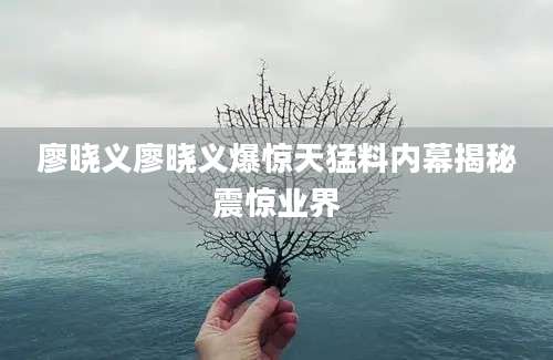 廖晓义廖晓义爆惊天猛料内幕揭秘震惊业界