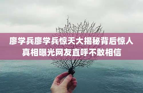 廖学兵廖学兵惊天大揭秘背后惊人真相曝光网友直呼不敢相信