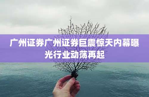 广州证券广州证券巨震惊天内幕曝光行业动荡再起