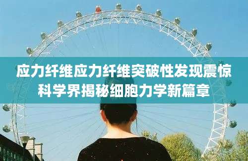 应力纤维应力纤维突破性发现震惊科学界揭秘细胞力学新篇章