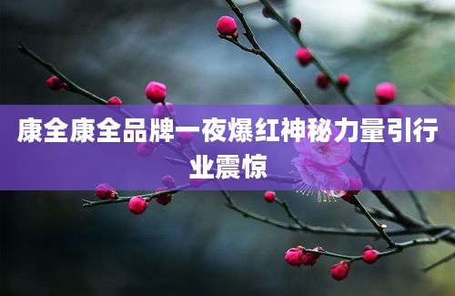 康全康全品牌一夜爆红神秘力量引行业震惊