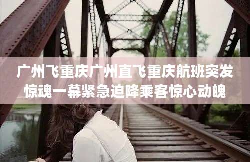 广州飞重庆广州直飞重庆航班突发惊魂一幕紧急迫降乘客惊心动魄