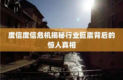度信度信危机揭秘行业巨震背后的惊人真相