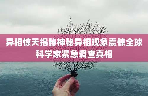 异相惊天揭秘神秘异相现象震惊全球科学家紧急调查真相