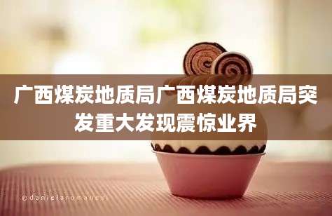 广西煤炭地质局广西煤炭地质局突发重大发现震惊业界