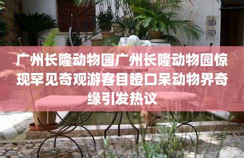 广州长隆动物园广州长隆动物园惊现罕见奇观游客目瞪口呆动物界奇缘引发热议