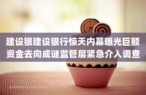建设银建设银行惊天内幕曝光巨额资金去向成谜监管层紧急介入调查