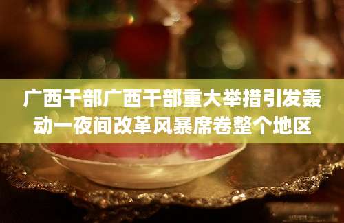 广西干部广西干部重大举措引发轰动一夜间改革风暴席卷整个地区