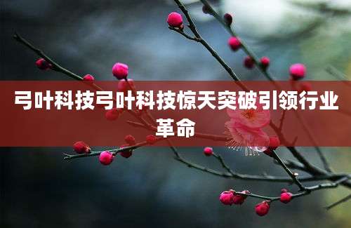 弓叶科技弓叶科技惊天突破引领行业革命